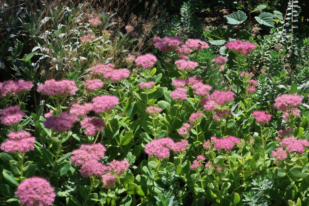 Korszak, Aion, 1-ső&nbsp;Rész