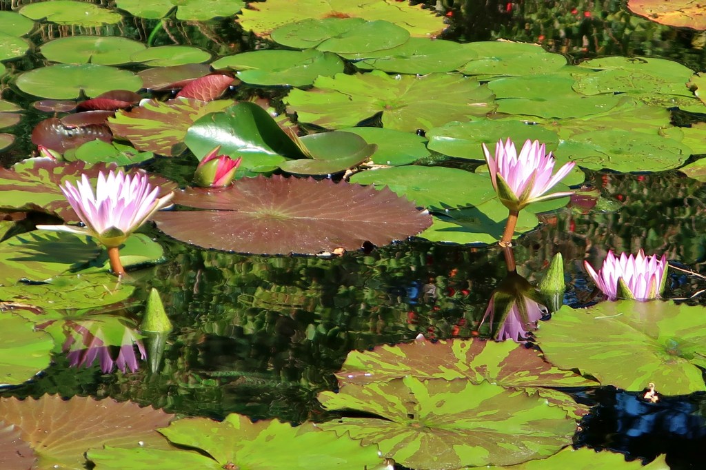 Korszak  Aion 3.&nbsp;rész.