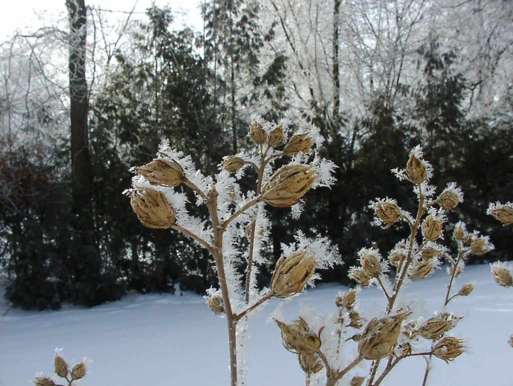 Igazából te mit értesz azalatt.  AZ EMBERNEK SZABAD AKARATA&nbsp;VAN!
